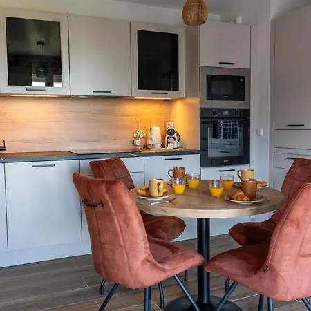 Apartment Docks Vauban Parking Prive Souterrain Terrasse *